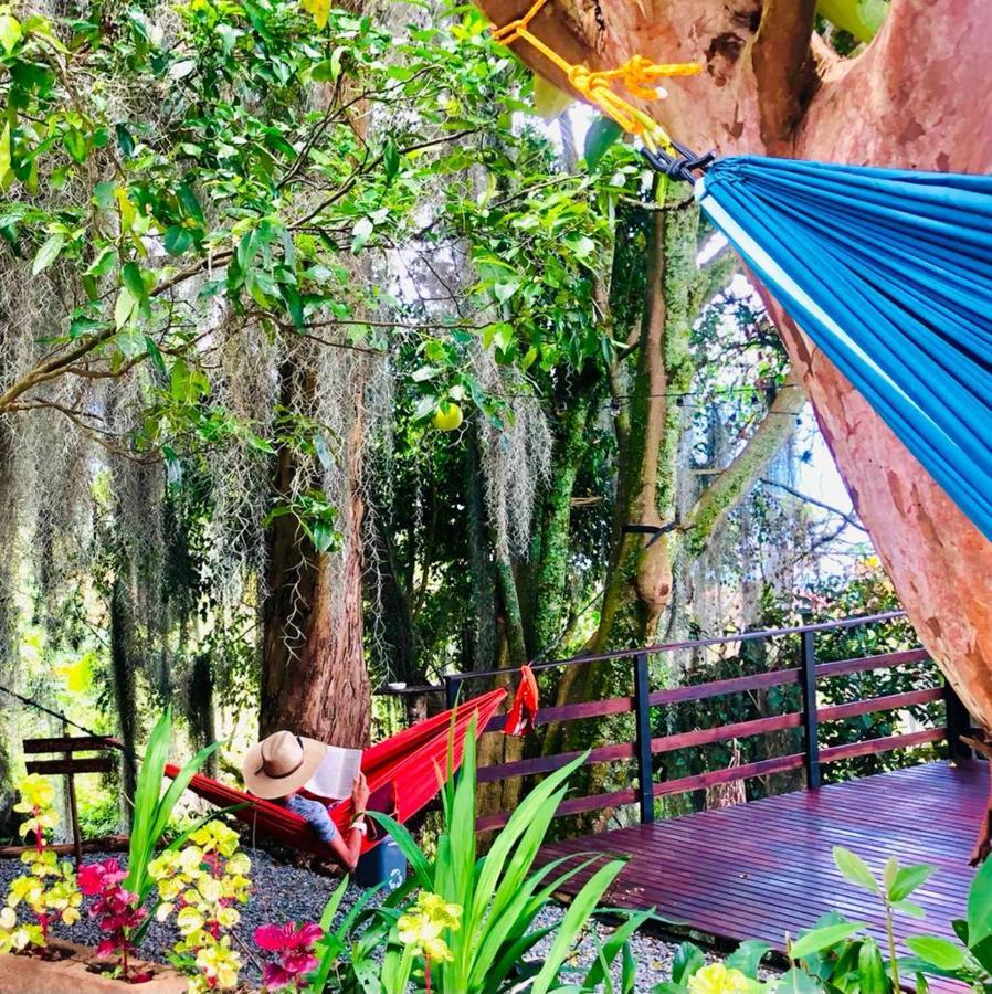 Eco Hostal Casa La Juana Bed & Breakfast Medellin Exterior photo