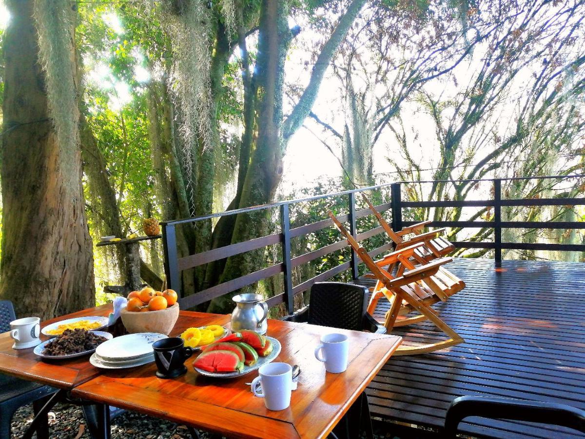 Eco Hostal Casa La Juana Bed & Breakfast Medellin Exterior photo