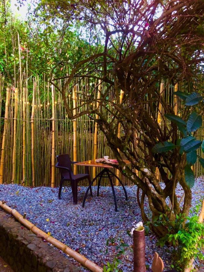 Eco Hostal Casa La Juana Bed & Breakfast Medellin Exterior photo