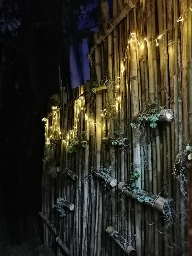 Eco Hostal Casa La Juana Bed & Breakfast Medellin Exterior photo
