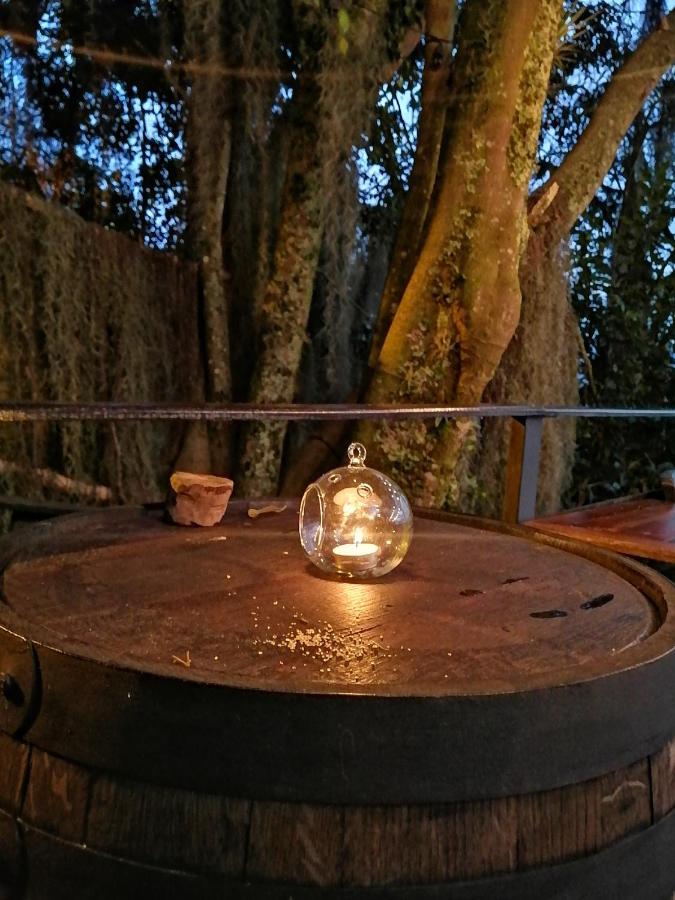 Eco Hostal Casa La Juana Bed & Breakfast Medellin Exterior photo