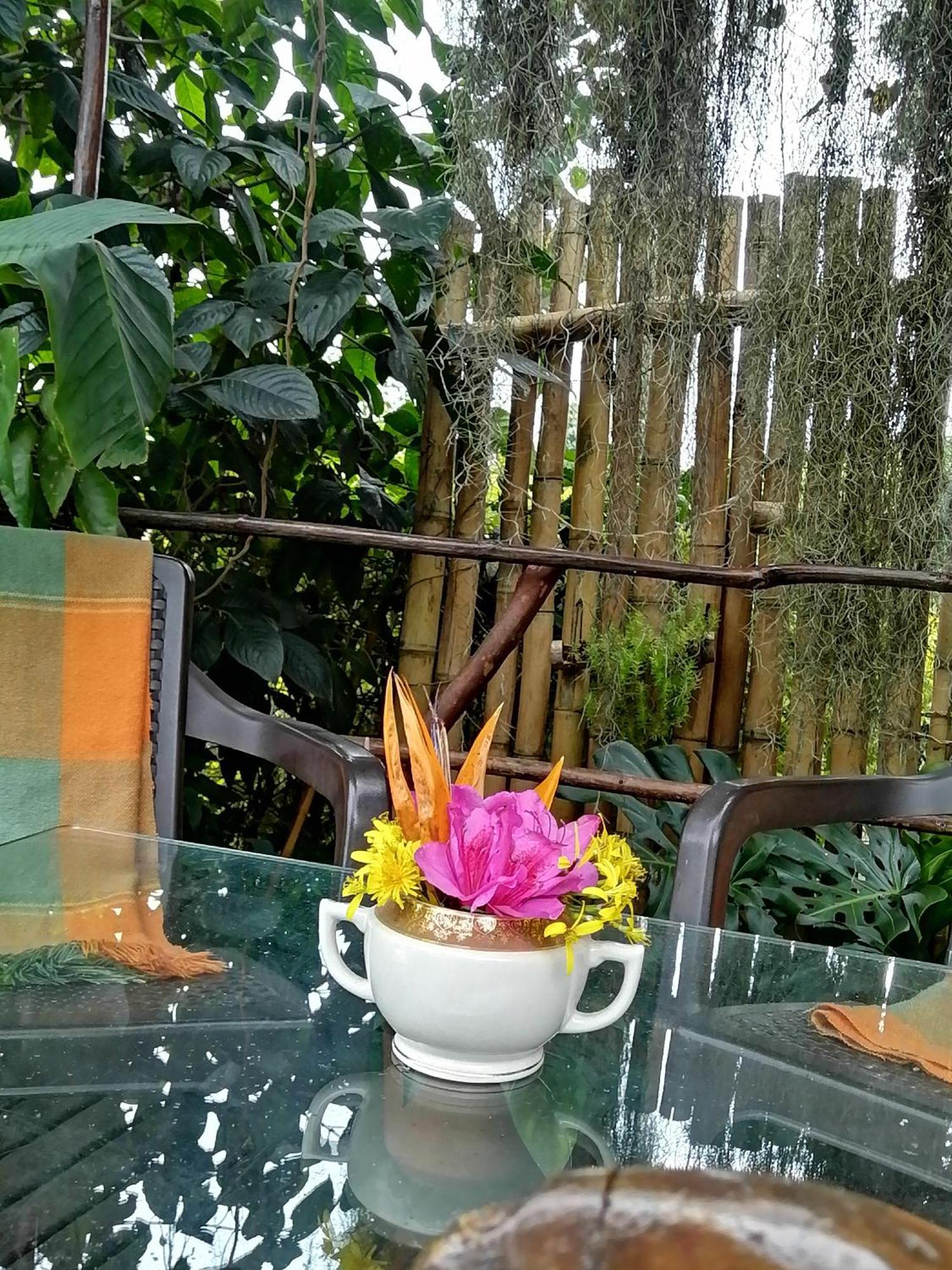 Eco Hostal Casa La Juana Bed & Breakfast Medellin Exterior photo